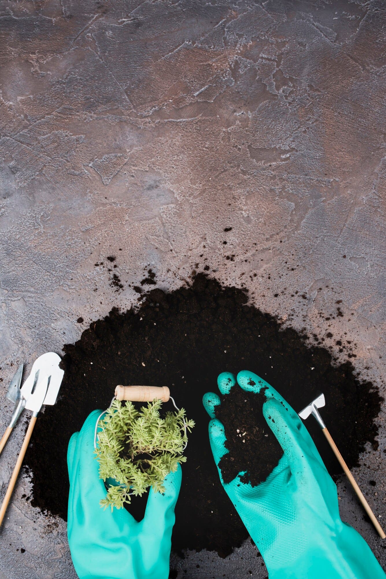 reducing-carbon-footprint-with-biochar