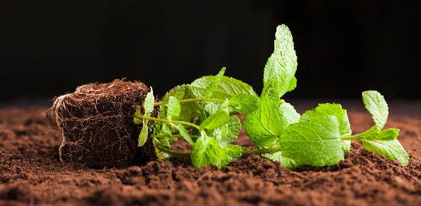 carbon-credit-compliant-facility-infrastructure