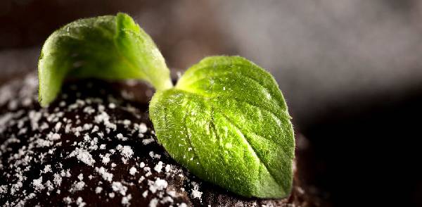 integration-of-energy-recovery-systems