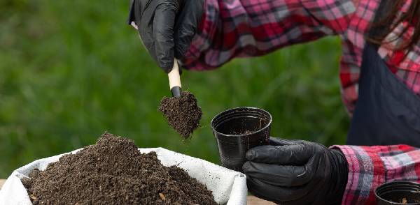 global-research-for-activated-carbon